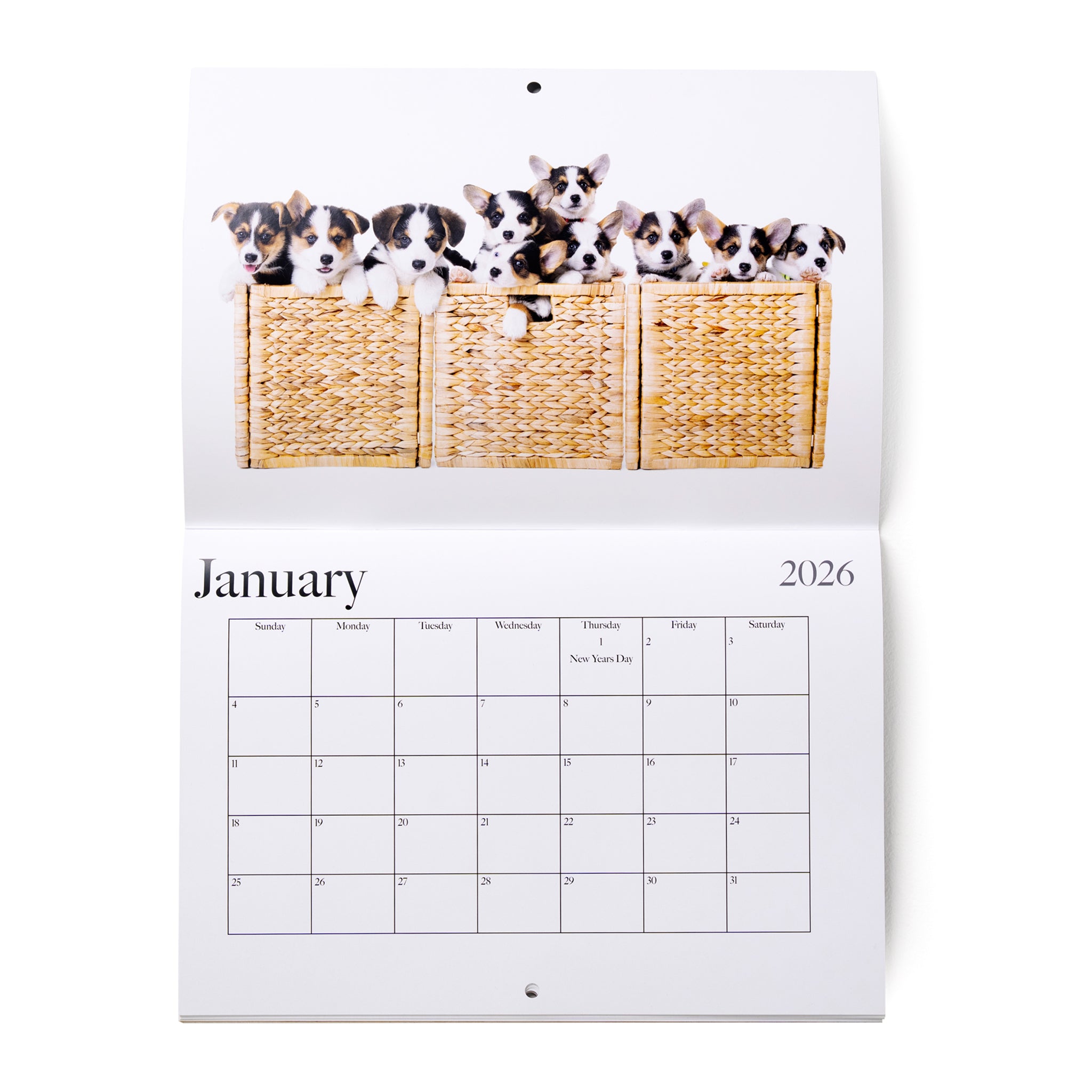 Pet Calendar Vol. 01 - Ludere Studio